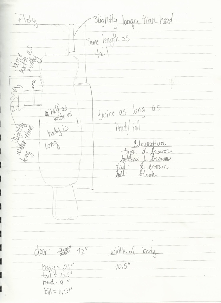 Rough outline of the Door Draft Platy Project.