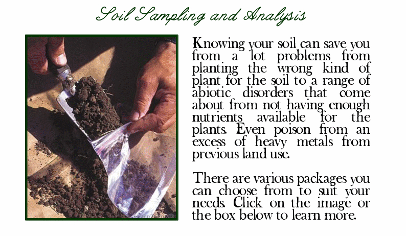 Soil Sampling and Analysis