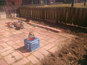 We're making sun tea in the very small Insanitek garden.