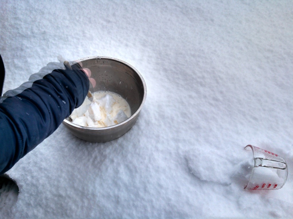 I prefer to use a metal bowl in the snow for mixing so things stay frozen.