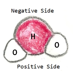 Water molecule with 1 hydrogen end labeled negative side and 2 oxygen end labeled positive side.